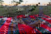 Bunnyconnellen Olive Grove  Vineyard