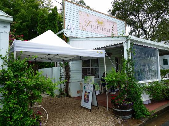 Tyalgum NSW Internet Find