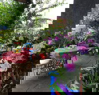 Kool Spot Cafe - Swimm