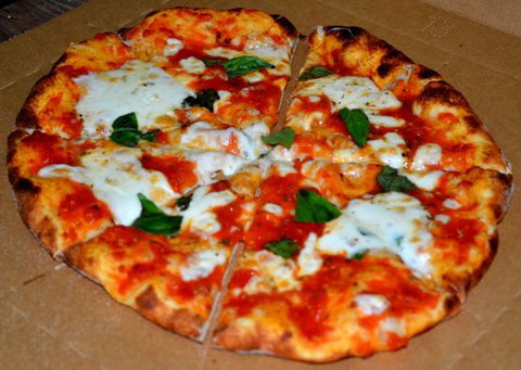 The Lounging Emu - Renee 0