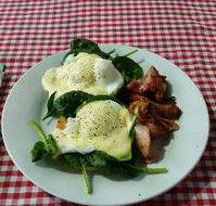 The Shed Cafe - Renee