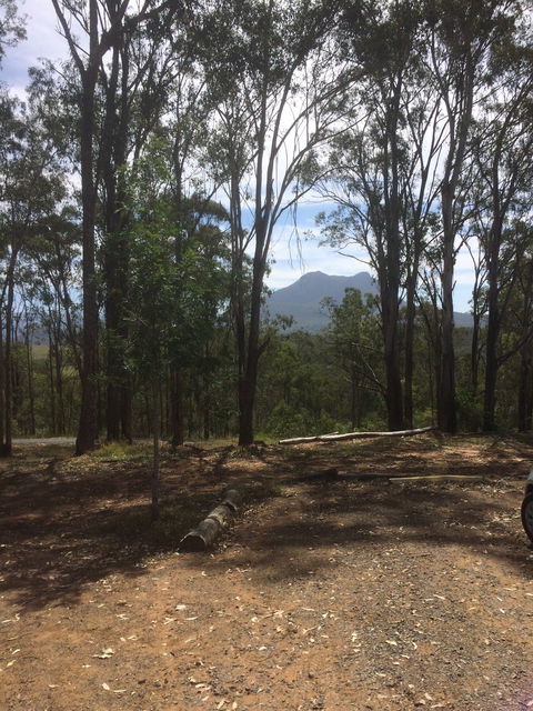 The Shed Cafe - Qld Realsetate 3