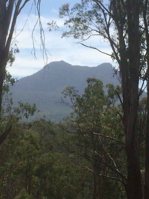 The Shed Cafe - Qld Realsetate 4