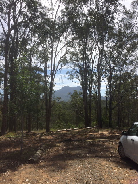 The Shed Cafe - Qld Realsetate 5