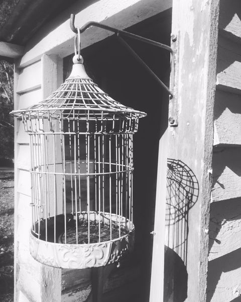 The Shed Cafe - Qld Realsetate 6