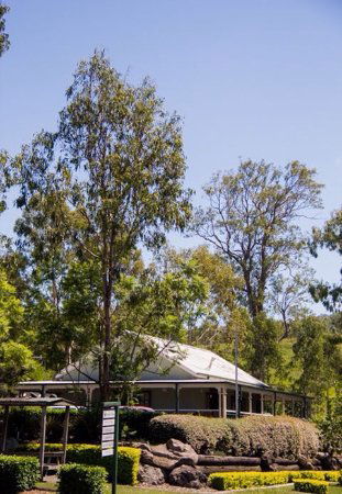 Kooralbyn QLD Internet Find