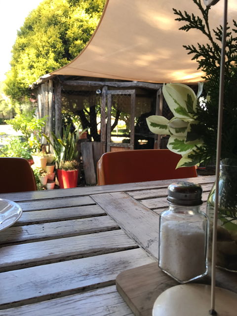 Fanny Mae's Cafe - Internet Find 2