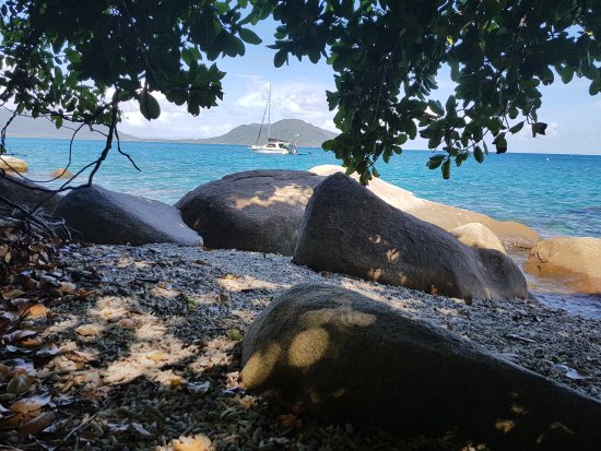 Fitzroy Island QLD Internet Find