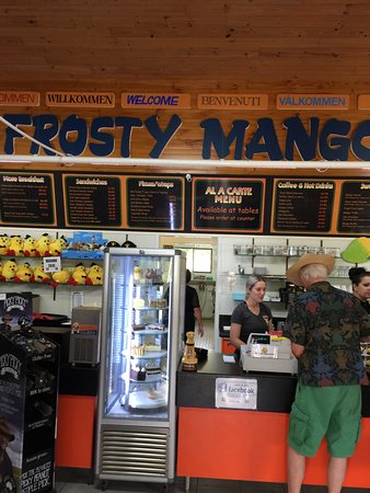 Frosty Mango - Renee 0