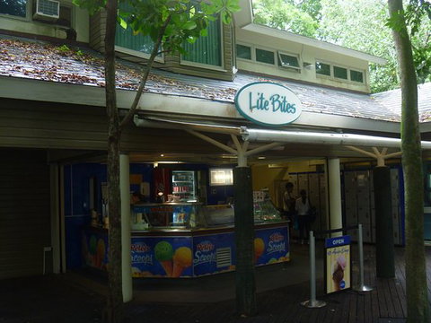 Lite Bites - Renee 0