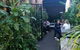 Rafter & Rose Cafe - thumb 3