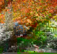 The Woods Ravensbourne - Renee