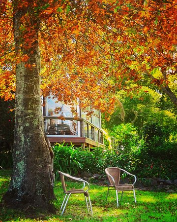 The Woods Ravensbourne - Renee 0