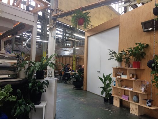 Collingwood VIC Renee