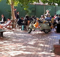 Alleycat Cafe - Qld Realsetate