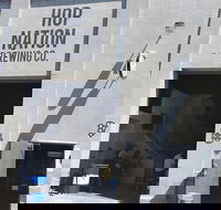 Hop Nation Brewing Company - Swimm