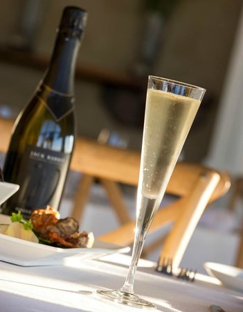 Jack Rabbit Vineyard - Swimm 0