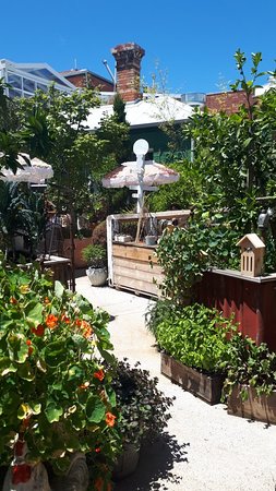 Old Man Drew - Renee 0