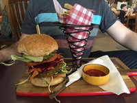 Business in Geelong VIC Qld Realsetate Qld Realsetate