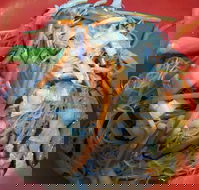 Kitchen Republik - Internet Find