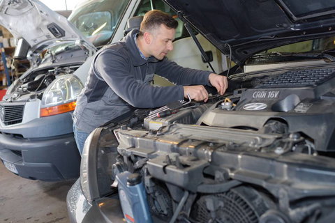 O’Neills Tyres - Renee 2