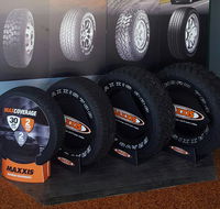 Capricorn Tyre  Mechanical - Internet Find