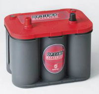 Strike 1 Batteries - Renee