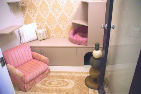Luxury Cat Hotel - Qld Realsetate 0