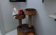 Luxury Cat Hotel - thumb 2