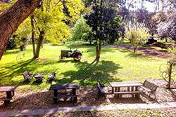 Settlers Arms Inn - Internet Find 2