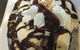 Gelare Cafe Doncaster - thumb 0