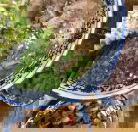 Lanzhou Beef Noodle Bar - Internet Find