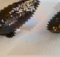 Vinnie's Vegie Cafe And Bar - Qld Realsetate