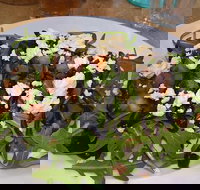 Food for All Seasons - Qld Realsetate