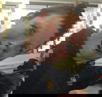 Ming's Chinese Restaurant - Qld Realsetate