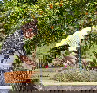 Bella Restaurant - Renee