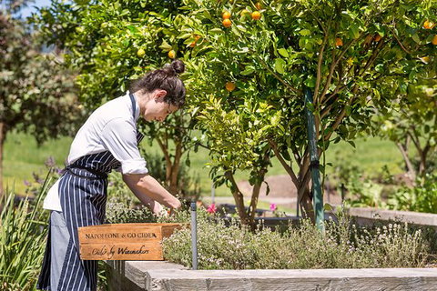 Bella Restaurant - Renee 0