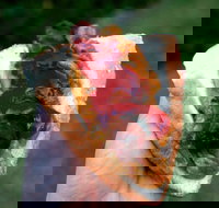 Bunnings Restaurant - Swimm