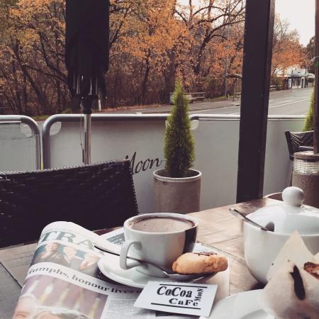 Cocoa Moon Cafe - Qld Realsetate 0