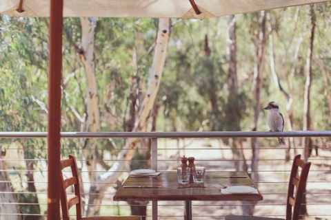 Morrisons Winery & Restaurant - Renee 0