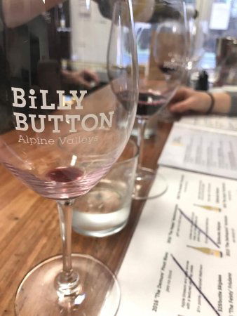 Billy Button Cellar Door - Internet Find 0