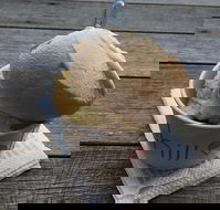 Chill - Internet Find