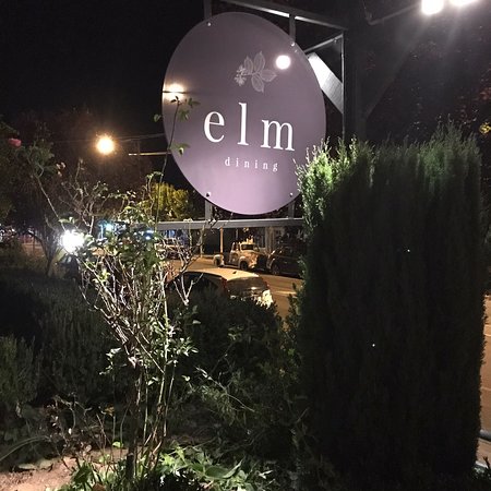 Elm Dining - Renee 0