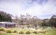 Green Olive At Red Hill - thumb 0