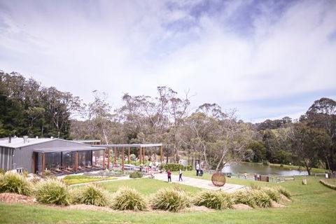 Green Olive At Red Hill - Renee 0