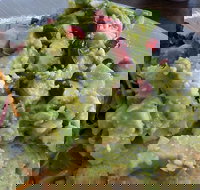 La Ladybug Cafe - Renee