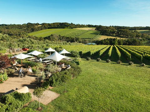 Montalto Restaurant - Renee 0
