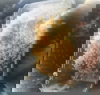 Noodle Dynasty - Internet Find