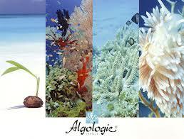 Beauty Salons Glenella QLD Swimm