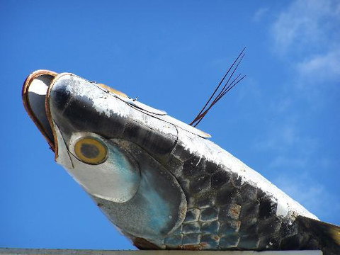 Fish Creek Hotel Motel - Renee 0